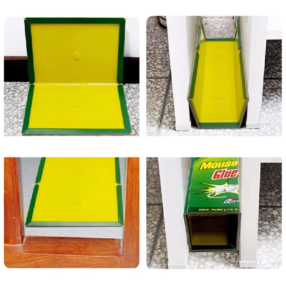 fold shape of trap