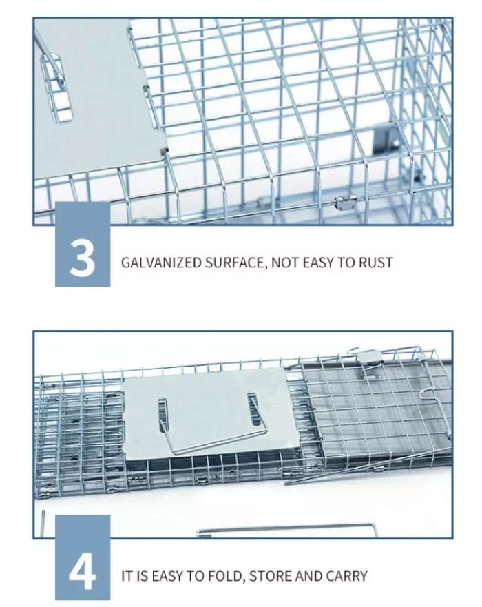 Wild Animal Cage feature Wild Animal Cage feature