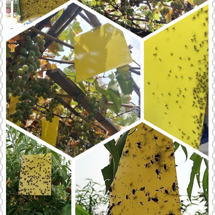Uv resistant armyworm board Uv resistant armyworm board