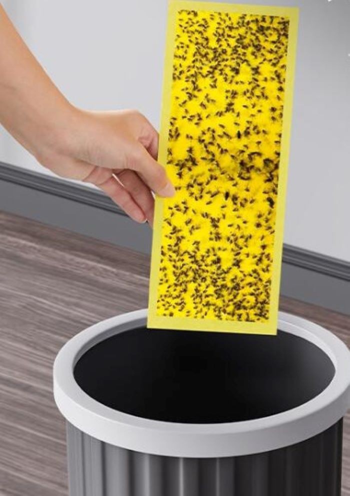 fly trap lamp paper effect