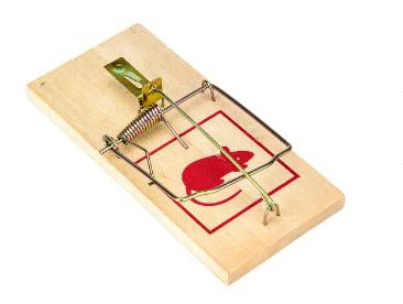 China Customized Nipper Mouse Trap Suppliers, Manufacturers