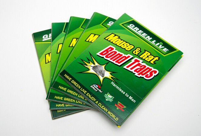 Mouse Glue Book front