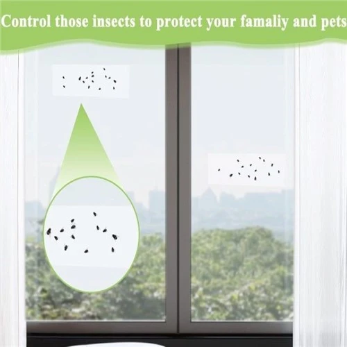 Clear Window Fly Traps