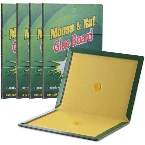 Glue Trap Board