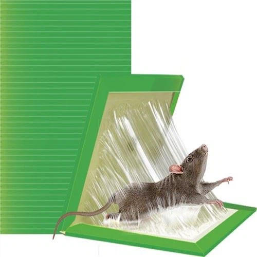 High Viscous Mouse Trap