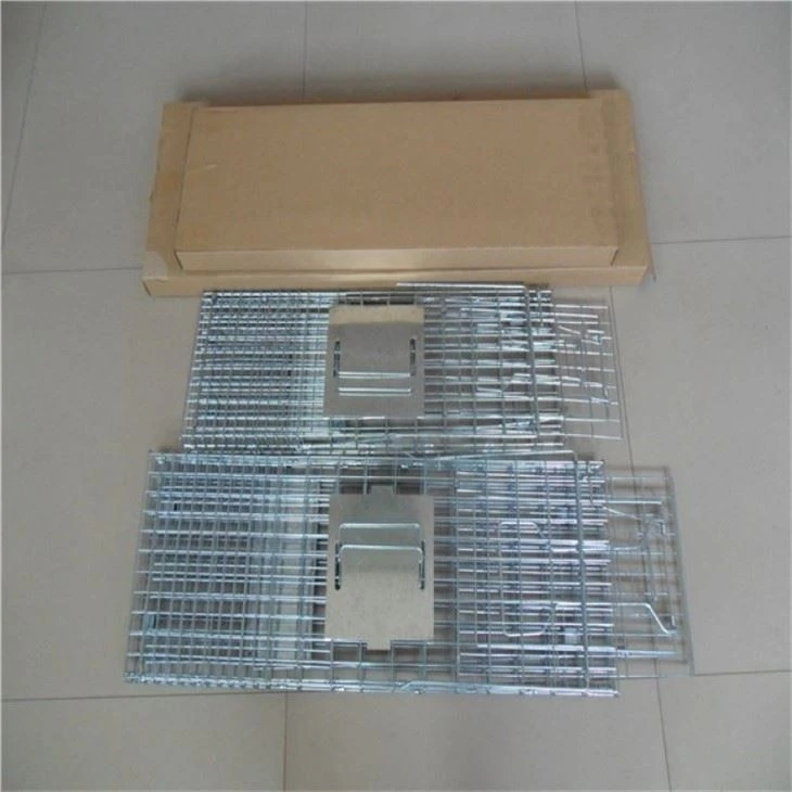 Wild Animal Cage packing