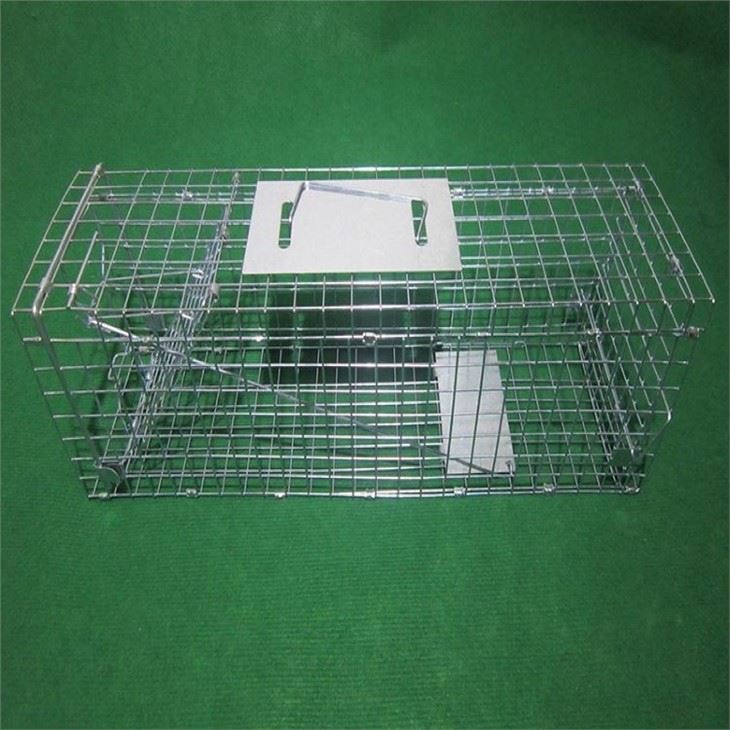 Wild Animal hunting trap