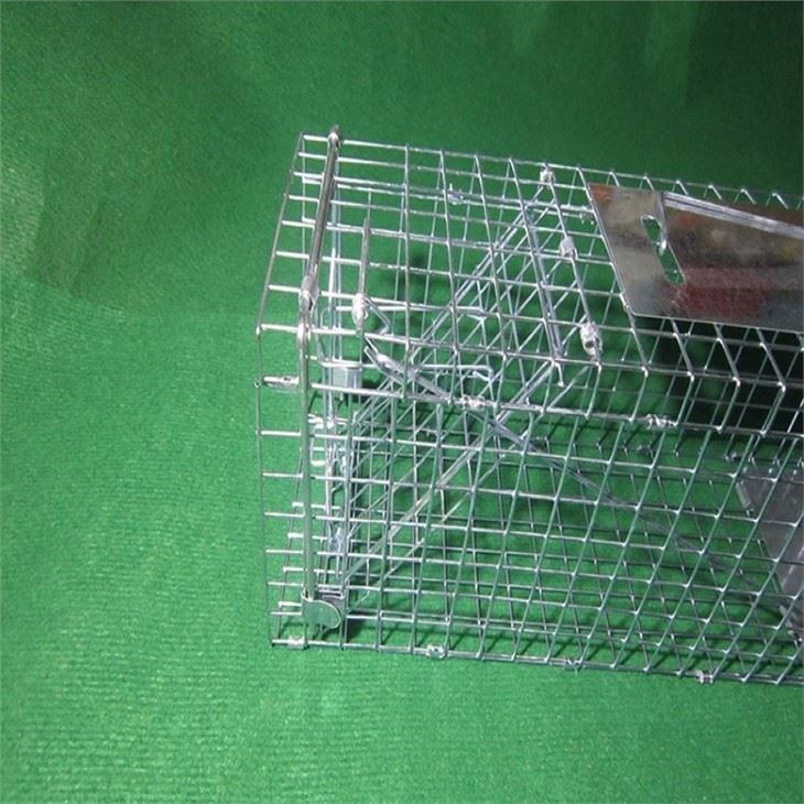 Wild Animal stainless Cage