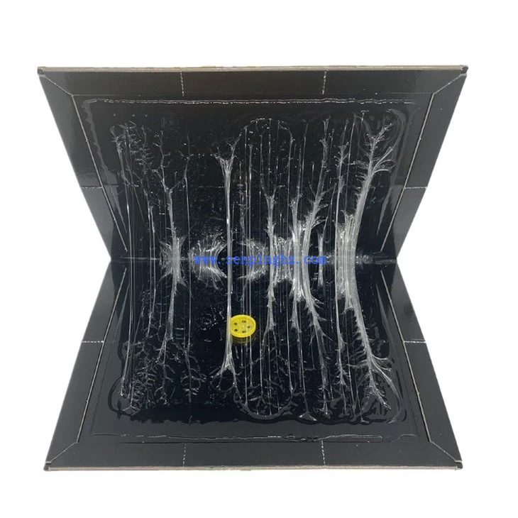 Spider Glue Trap