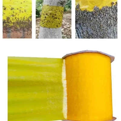 When should I hang a yellow roller trap?